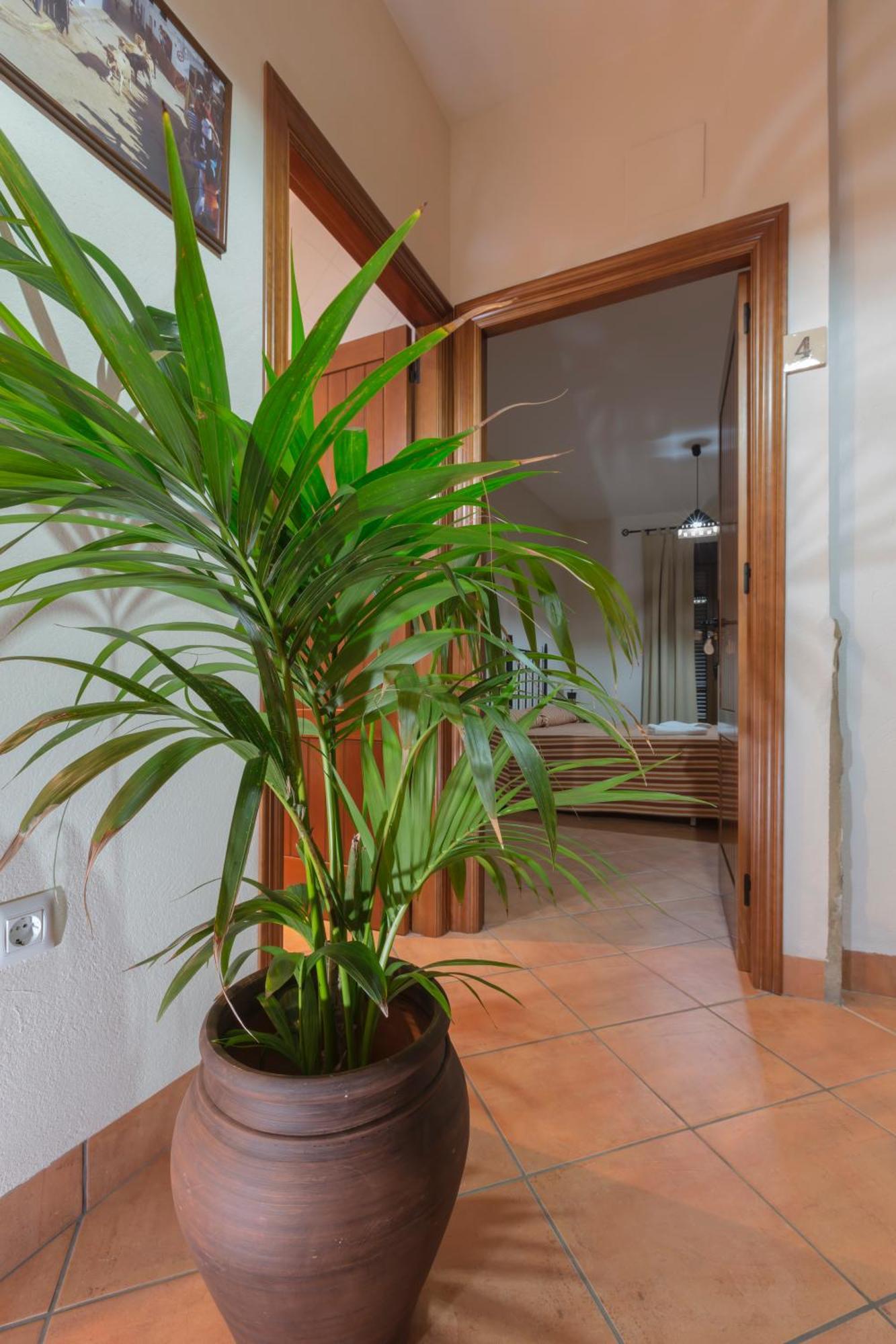 Segura de León Casa Rural La Fuente מראה חיצוני תמונה